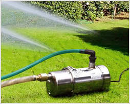 Reuse of Rainwater for Irrigation