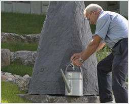 Rainwater Reuse System